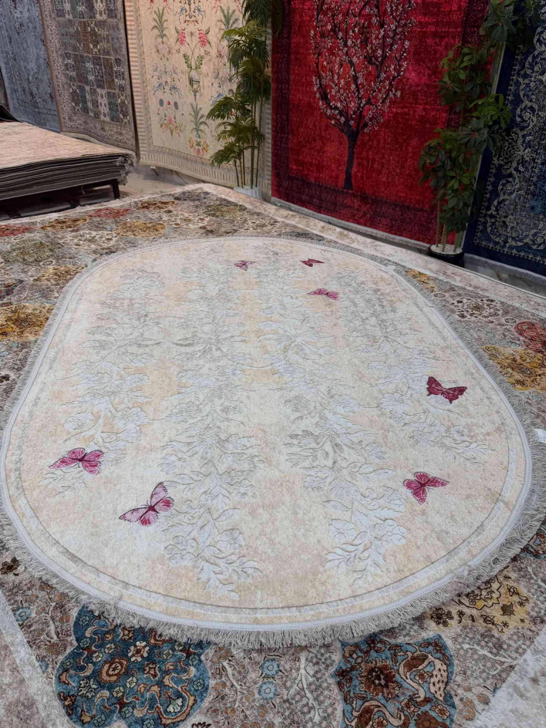 سجاد • موكيت • ديكور