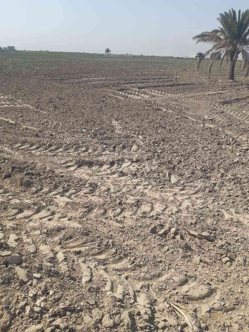 ارض زراعيه للبيع الأرض العقد ٢٢ونص دونم عقد ٣٥ المكان بابل جبلة ناحيةالأمام قريه حايف شاخه 5  الاستفسار ***********/
