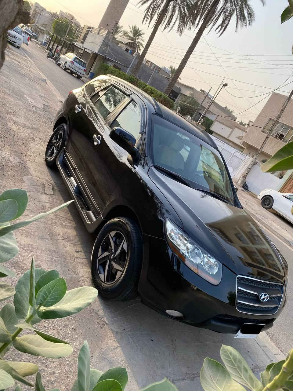 سنتافي • ٢٠٠٨ • رقم بغداد