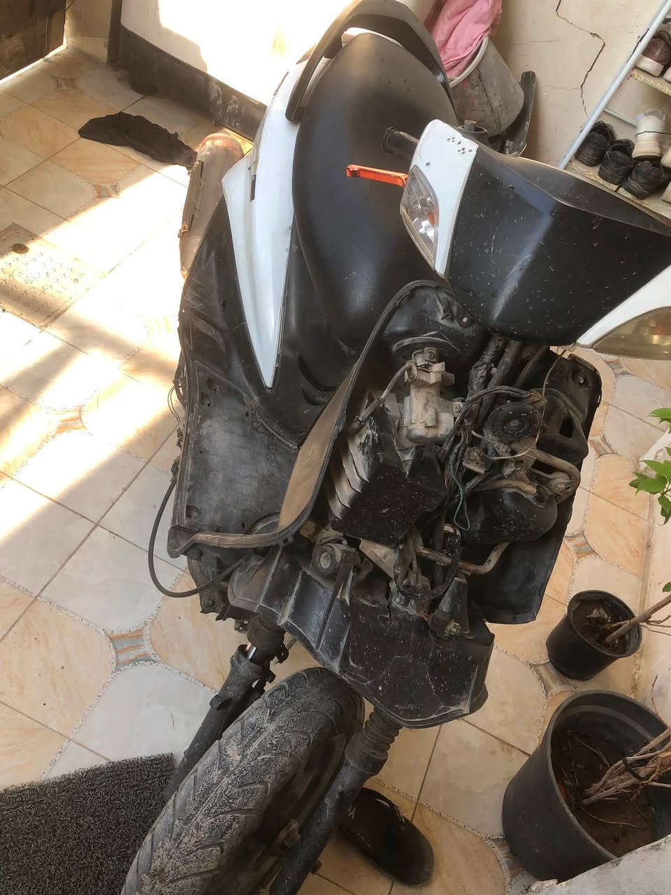 سكنس ثنيه • سلف وهندر • صوت كلج