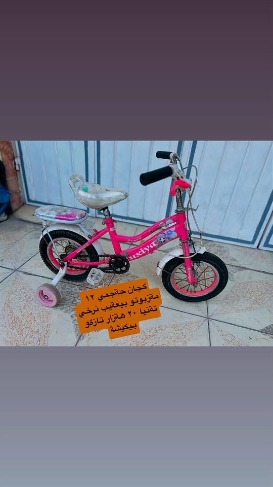 بسكليت • حجم 20/12/16 • كةلار