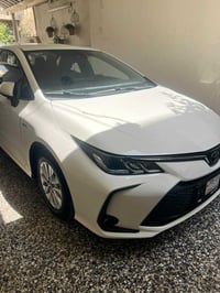 زيرو • ٢٠٢٥ • بغداد العامريه