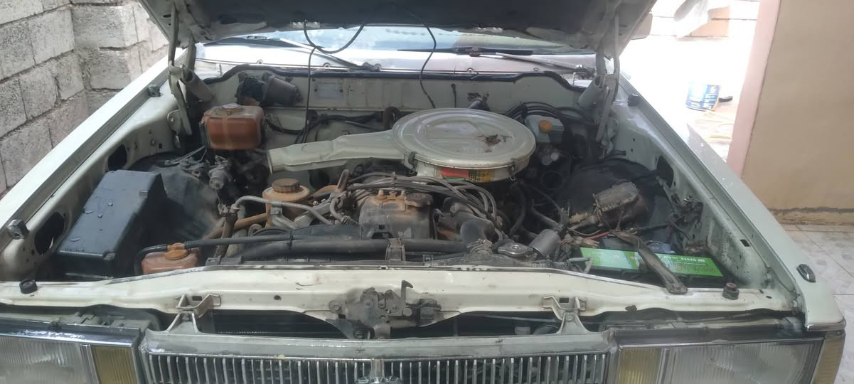 السلام عليكم سوبر موديل 82شرط التحويل
وضعيه شركه صبغ مكانات ابيعك حزام بدون اي ضرر وحادث تبريد شرط يعوزو بس غاز يرهم مراوس حسب القناعه السعر 45 وبيهه مجال للستفسار اكثر اتصل ***********
