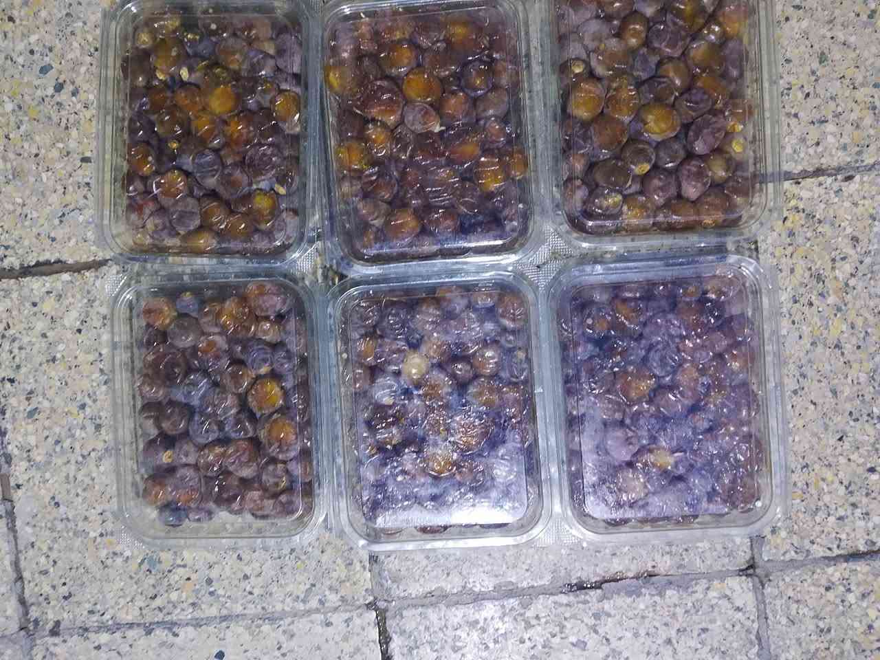 تمر برحي • علبة بلفين