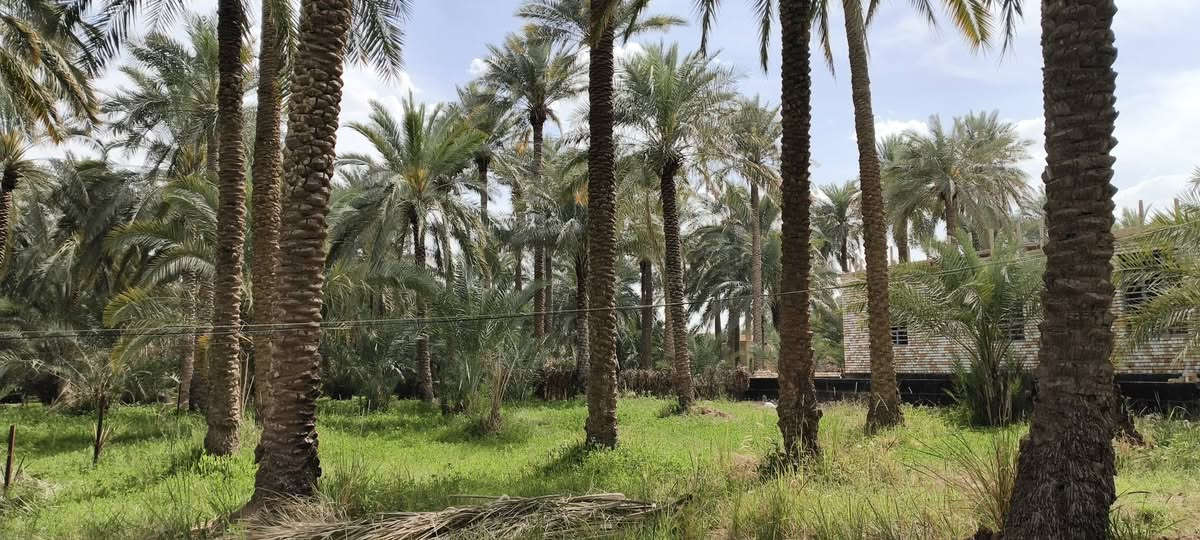 السلام عليكم قطعه ارض للبيع  مساحة 340
 طابو 25
حي الحسين بدايه شارع العبيد
تبعد 20متر عن الشارع 
كل الخدمات متوفره ماء مجاري كهرباء 
الاستفسار :‏ ‪***********‬‏
