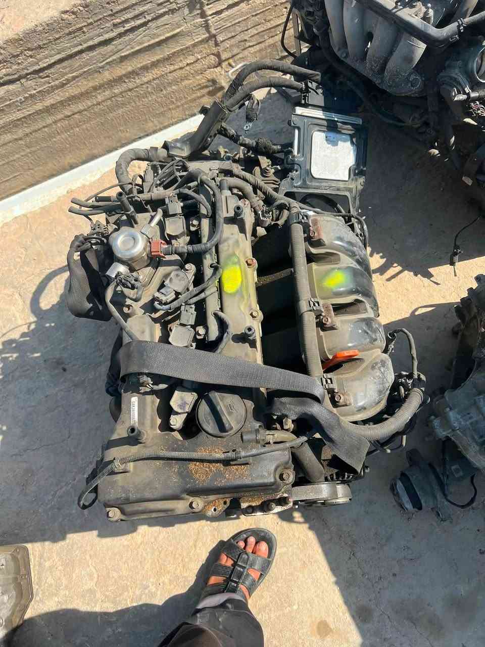 السلام عليكم ورحمة الله وبركاته
يتوفر مكائن كوري تفصيخ 

اكسنت 1600 تحويره كامله 

اكسنت 1400 cvt

مكائن غازيه 2000

ترهم النتر من 12الى 16

مكائن اوبتما 200 

مكائن 1600 GDI

كوري شرط مو صيني وتفصيخ سيارت 

مع ضمان 

للاستفسار 

***********
