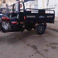ستوته • فحل • ٢٠٢٢