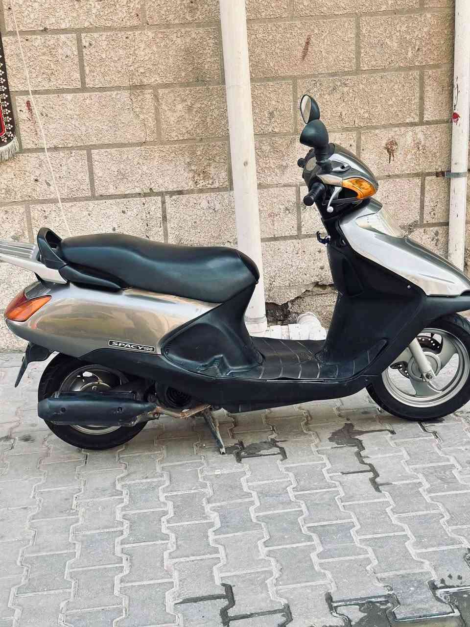 سبيسي • ياباني • سلف