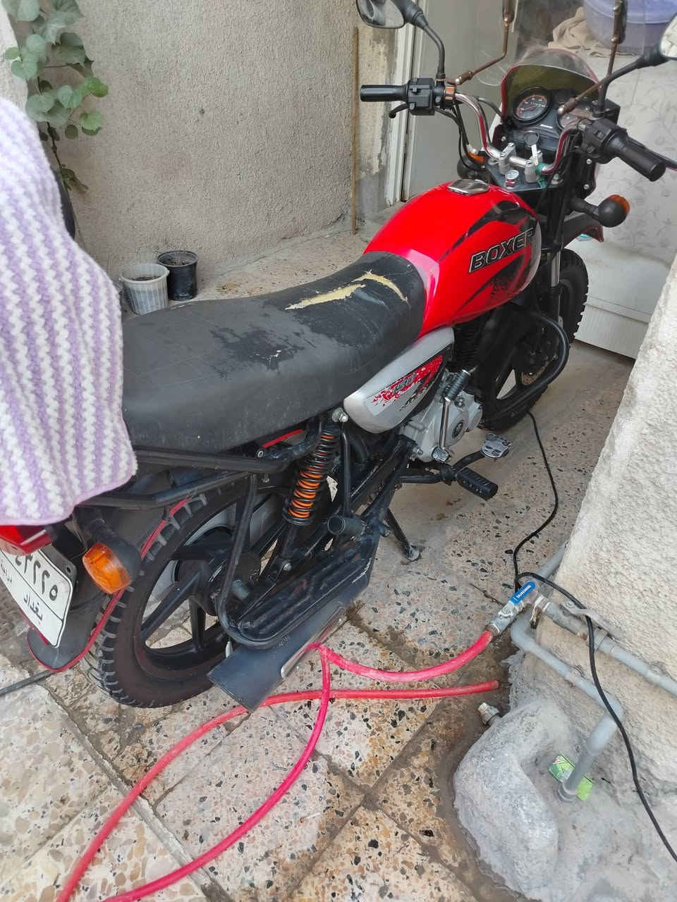بوكسر • مرقمه • ٢٢