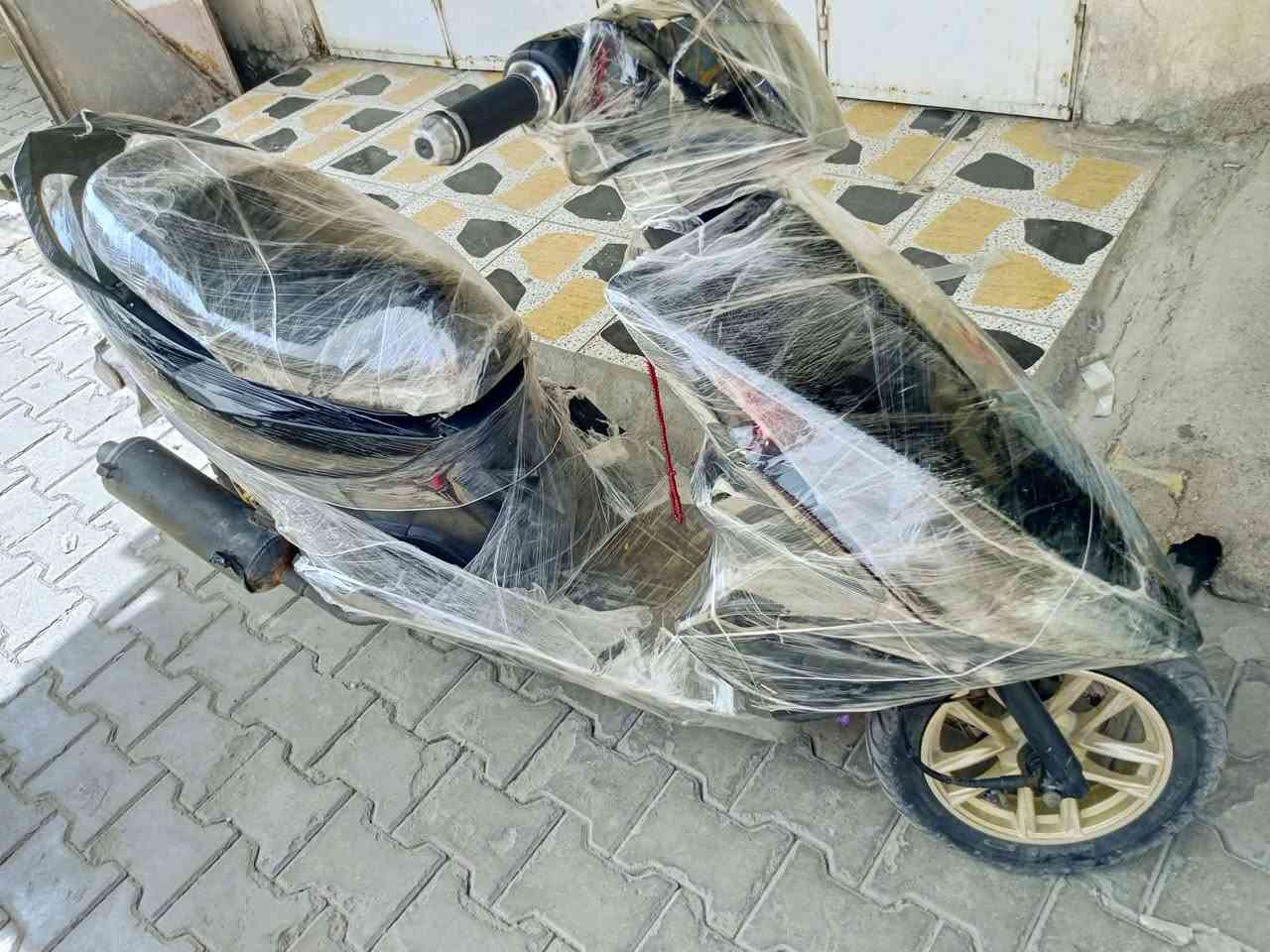 ثعلب • اوراق • معدل
