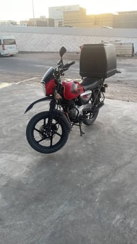 بوكسر جبلي • ٢٠٢٣ • ٦٠٠٠٠
