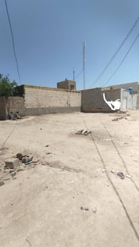 سوق الشيوخ الدجين • قطعة زراعية • ١٥٠م