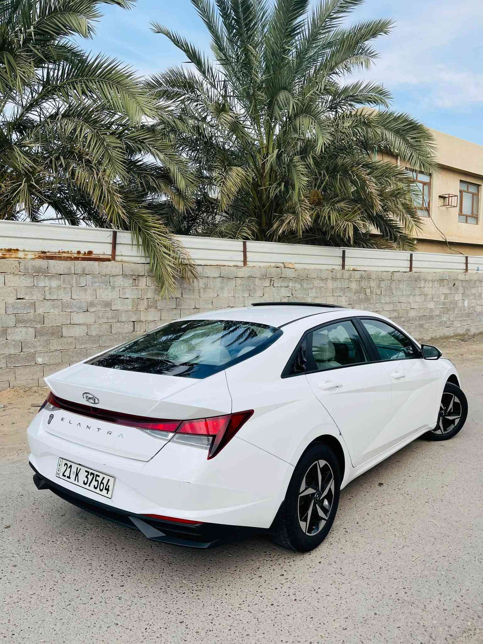 ألنترا ٢٠٢٣ • خليجي • بدون صبغ