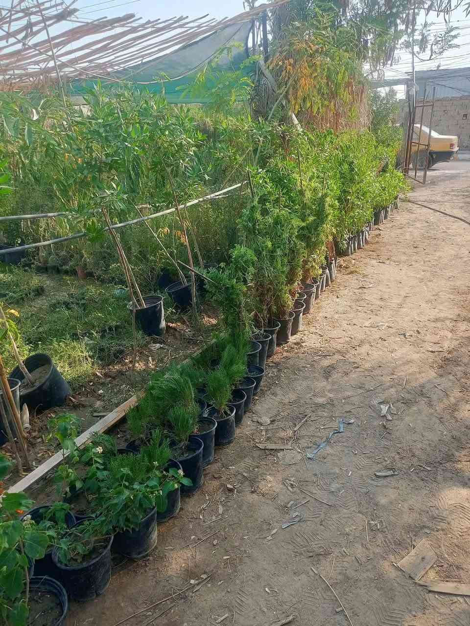مشتل الجمعيه
يتوفر لدينا مجموعه من النباتات الخارجية 

الدجيل الجمعيه خلف الدفاع المدني 

للاستفسار والحجز مازنجر واتساب ***********

توجد لدينا خدمه توصيل داخل الدجيل
💯💯💯💯💯💯💯💯💯💯💯💯💯💯💯💯
