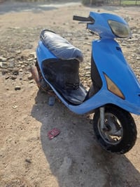 فراشه • شغاله • زنون