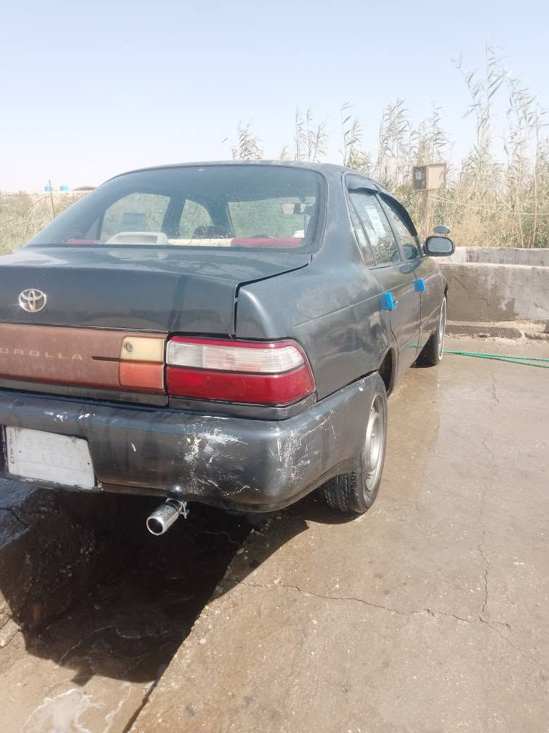 السلام عليكم كورلاموديل 95 رقم بغداد تحويل مباشر مكينة 1800 وگير عادي جدد تخم تاير جديد باتري جديد كهربائيات شغالة حدادية من الطول للطول جديدة قبل يومين مبدلة باور ومشط جدد 4 دبلات ولويات وطوب وربل وشموع دواخل نظيفة مصبوغة عام مكفولة من الضربة والگص والنقل جثة بيع او مراوس سعر ((35)) ناصرية سوق الشيوخ
*********** سوق الشيوخ, ذي قار
