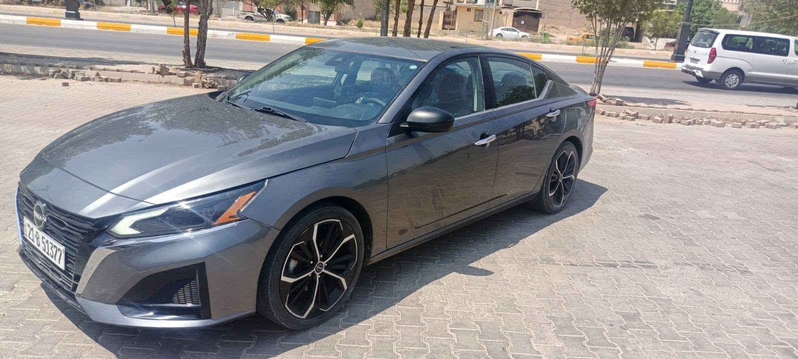 التيما SV • ٢٠٢٤ • بدون صبغ