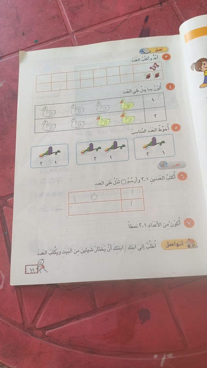 كنتور ٦ابواب • كنتور بابين • هيت حي البكر