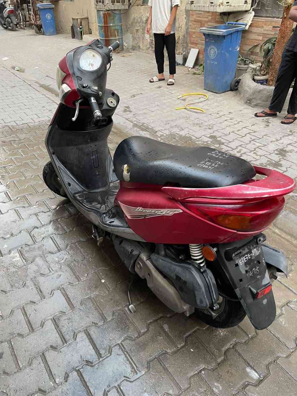 بريز • بغبغاء • شهرين