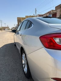 كروز • ٢٠١٩ • رقم اربيل