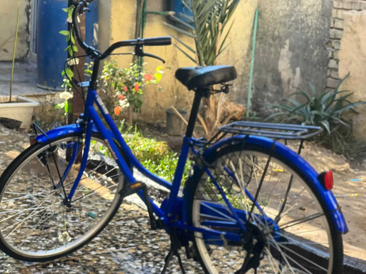 بايسكل بطه • حجم ٢٦ • موديل ٢٤