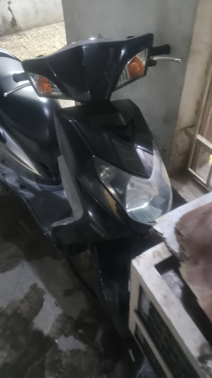 سكنس فحل نوزل ***********
