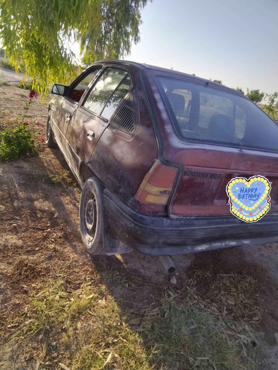 كاديت • ١٩٩١