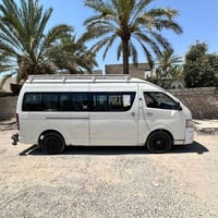 هايسا • ٢٠٠٨ • صبغ
