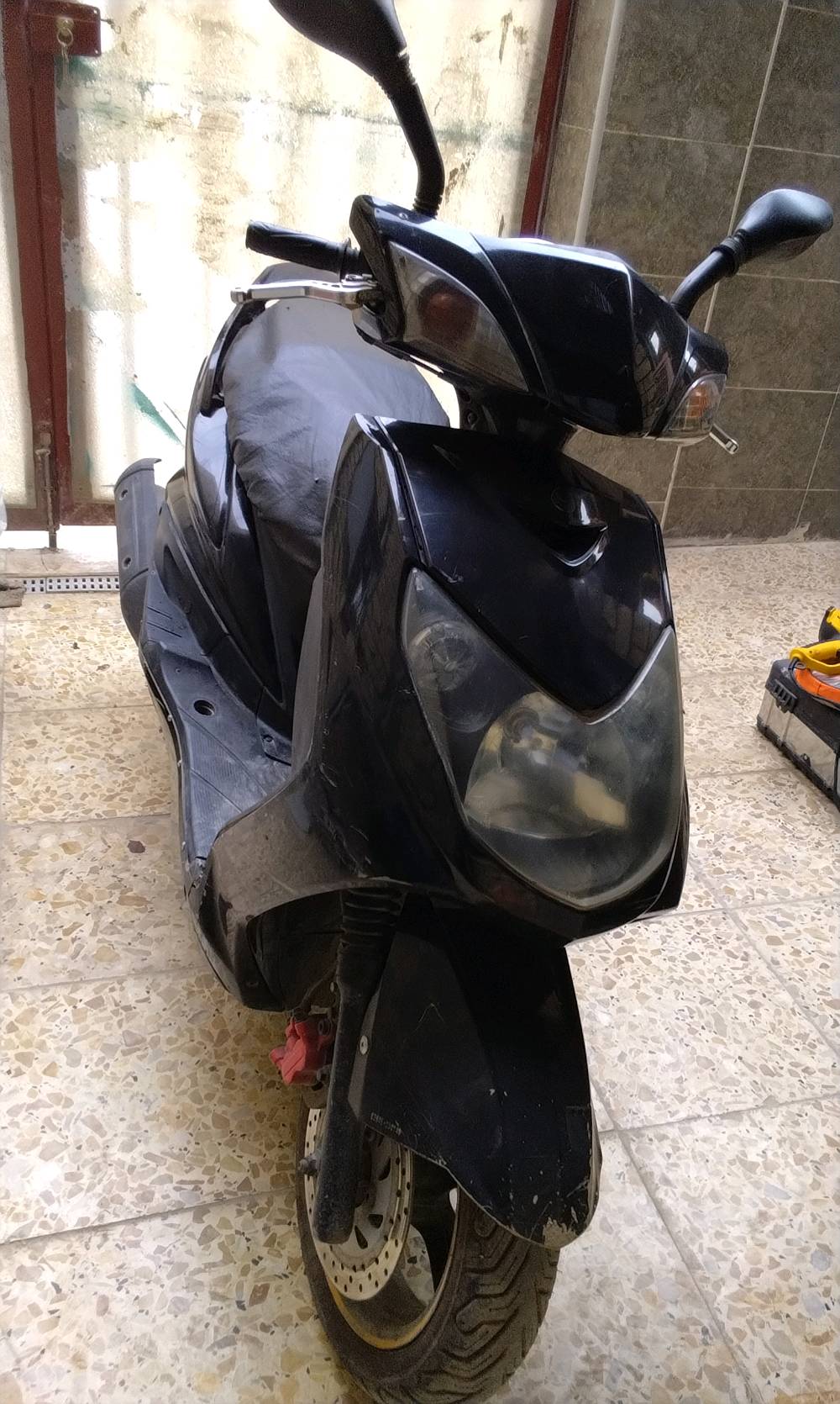 سكنس فحل • دراجة • بغداد
