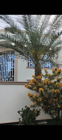 كربلاء القادسية • ٢٠٠م • ٥ غرف