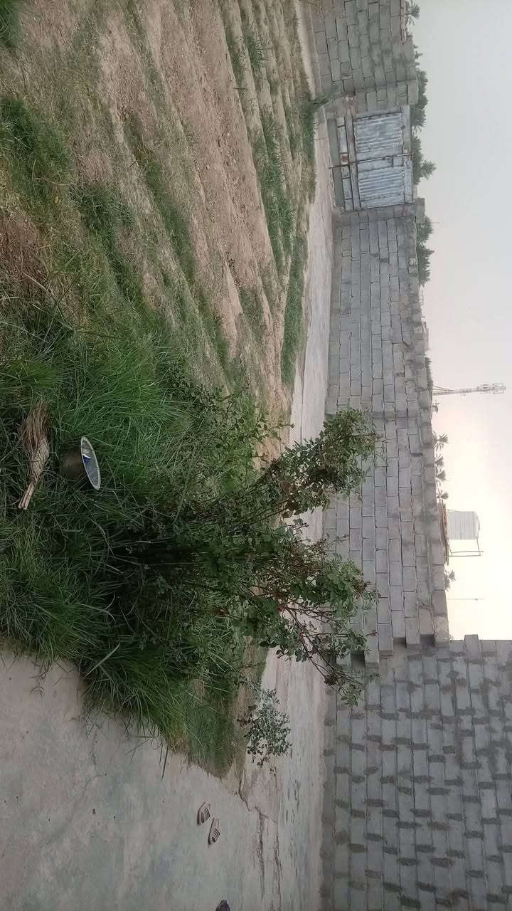 حي عداي • ٣٥٠م • حديقة ١٤×١٤