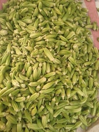 بانيه • ١٦كيلو • طازة