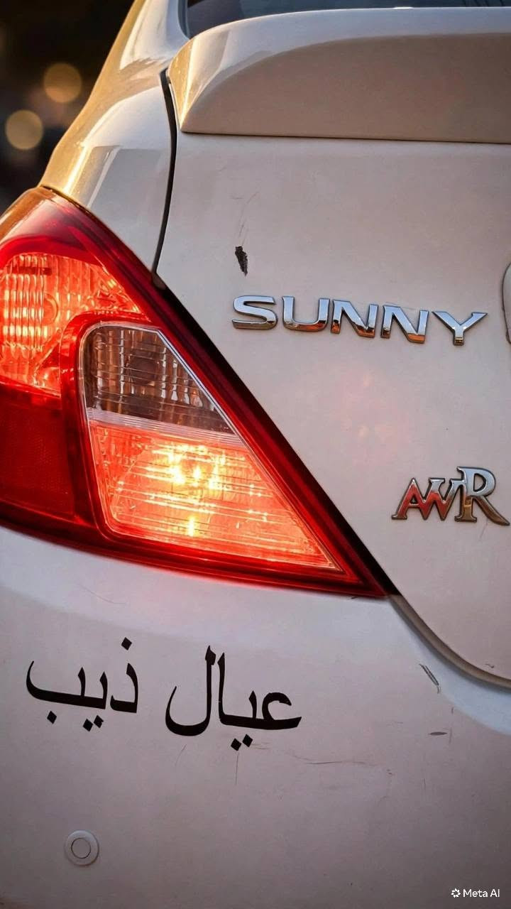 نيسان صني • ٢٠٢٣ • ضربه بالخلف