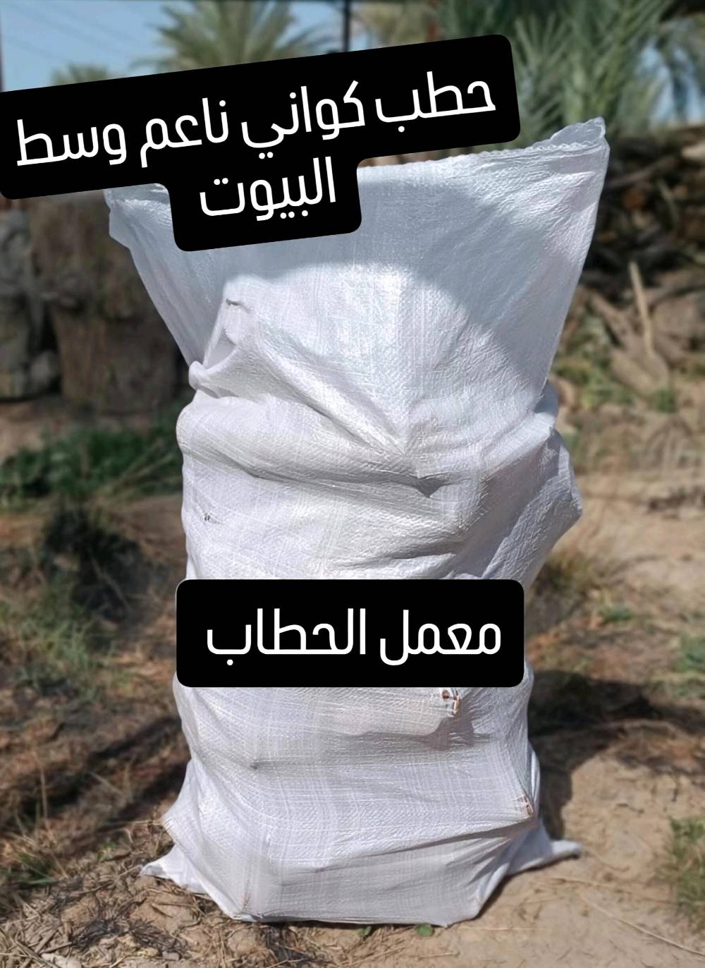 حطب يابس • درجة أولى • للمطاعم والمخابز والبيوت