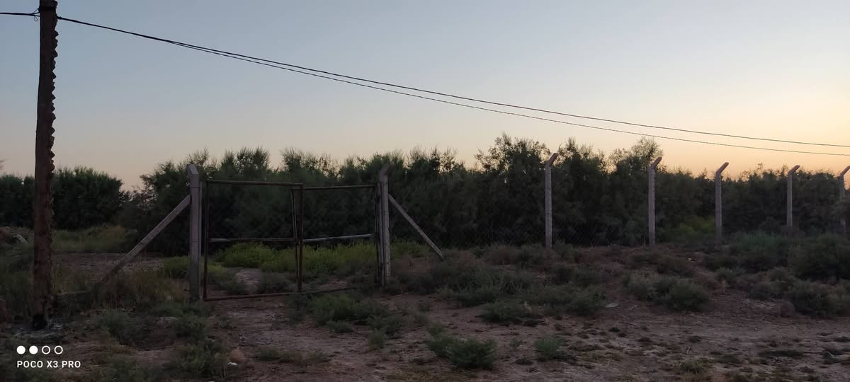 سلام عليكم مرخصت الادمن 
دونم للبيع طابو زراعي سند 25 مكانه - كوفه - ناحيه العباسيه -
 خلف بانزين خانه جوهرة النجف الي هية تصير مقابيل جسر العباسيه من تعبره للصوب ثاني بنزله الگمبري 
مسيجه بي ار سي وبيها اساس 260 متر . كهرباء + ماء بيها + بير 
سعر الكاع 45  وبيها مجال للشراي الخاص مفتوح 
وهذا الرقم *********** متواجد واتساب
