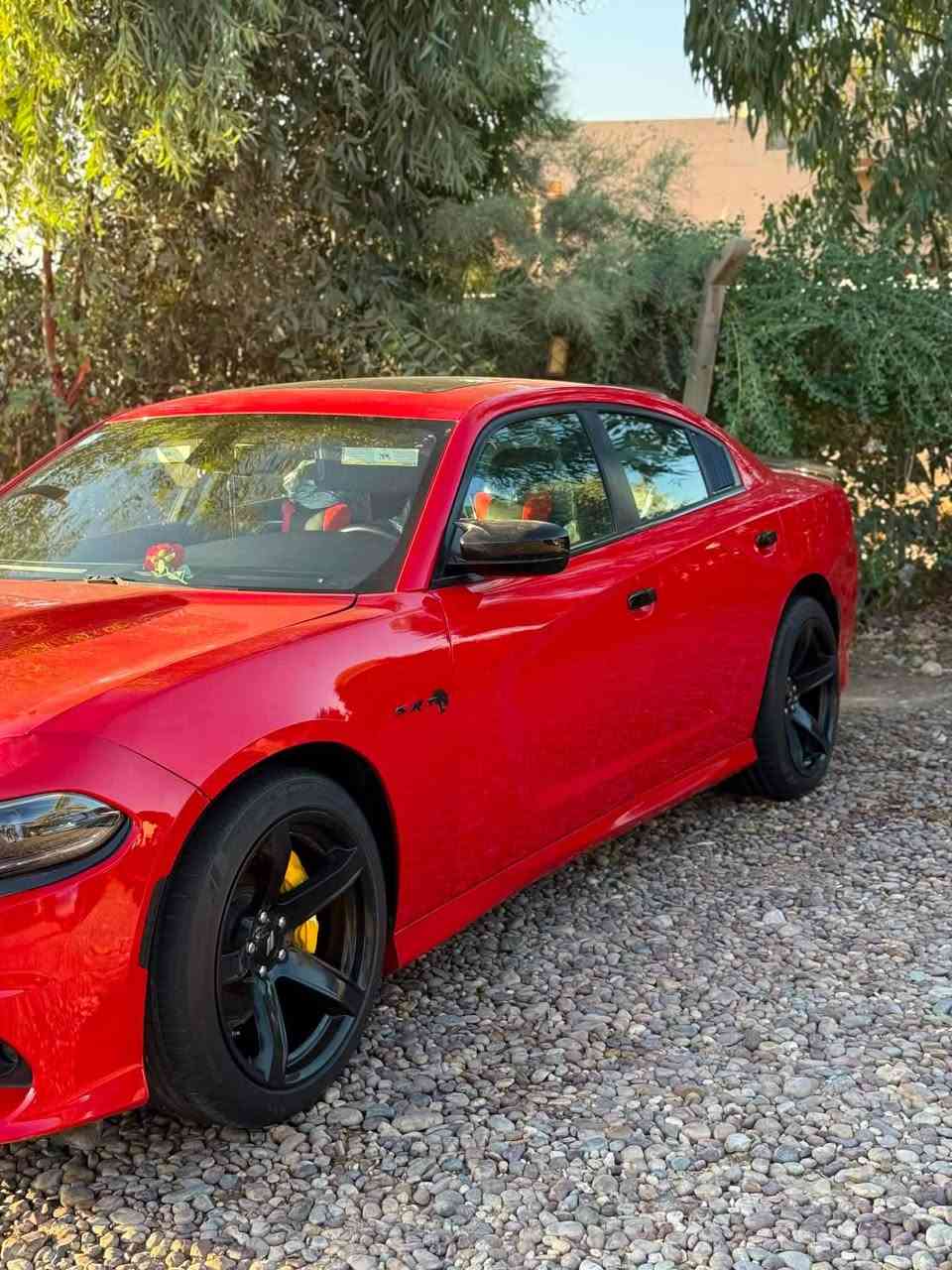 السلام عليكم جارجر 2022 امريكي حادثها ٣ قطع sxt plas مواصفات فتحه بصمه كشنات جلد تدفئه تبريد حساس امامي خلفي كامره دواره كشن كهربائي مقعدين خزن ميموري ماشيه ٣٥ ميل السياره احلا من الصور بهواي وجاهزه لاخر حبايه السعر ٢١٠ وبيها مجال قليل للاستفسار اكثر *********** مكانها بابل حلة, بابل
