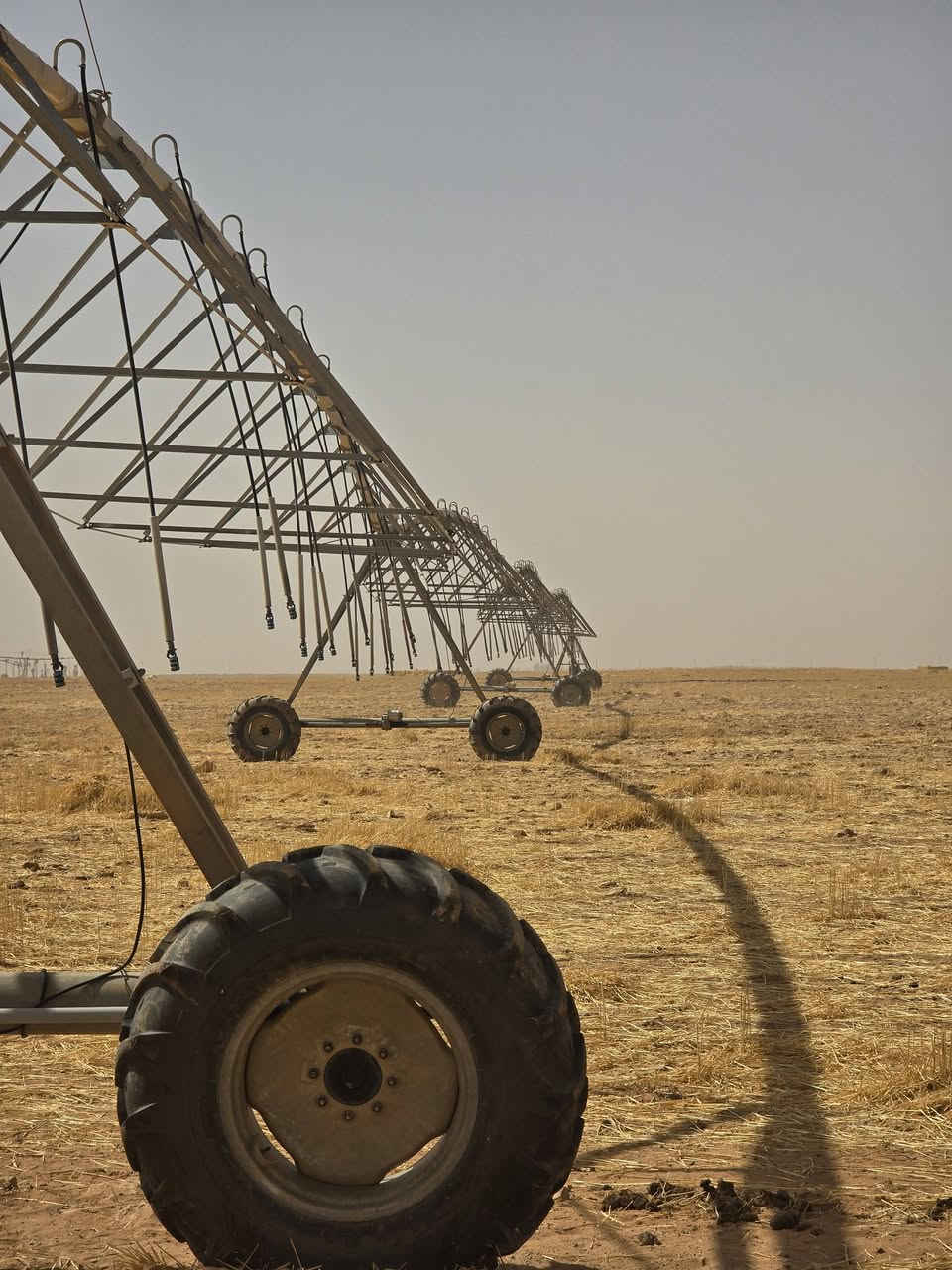 السلام عليكم للبيع مرشة 4 ابراج نوع الفرات المميز مستخدمة موسمين السعر 19وبيها مجال المكان الانبار مزارع السبعين للستفسار اتصال عل الرقم ***********
