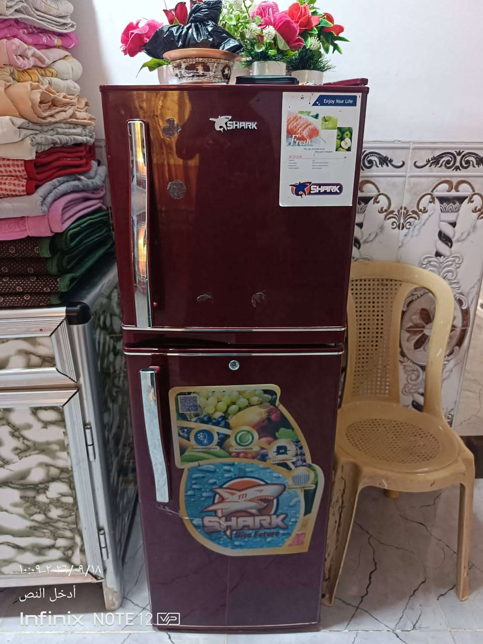 ثلاجه  200/فلتر ماء 250 /مبردة250/تانكي سعه 500لتر 50 كلش نضيفات
تواصل اتصال فقط ***********

نص مكتوب في الصور:
- ١٠:١٢ ٢٠٢٦/٠٩/١٨
- أدخل النص
- Infinix NOTE 12
- ١٠:١١ ٢٠٢٦/٠٩/١٨ أدخل النص Infinix NOTE 12
- ١٠:١٠ ٢٠٢٦/٠٩/١٨
- Infinix NOTE 12 VP
- ١٠:٠٩ ٢٠٢٦/٠٩/١٨
- ٢٠٢٣/٠٩/١٨ ١٠:٠٩