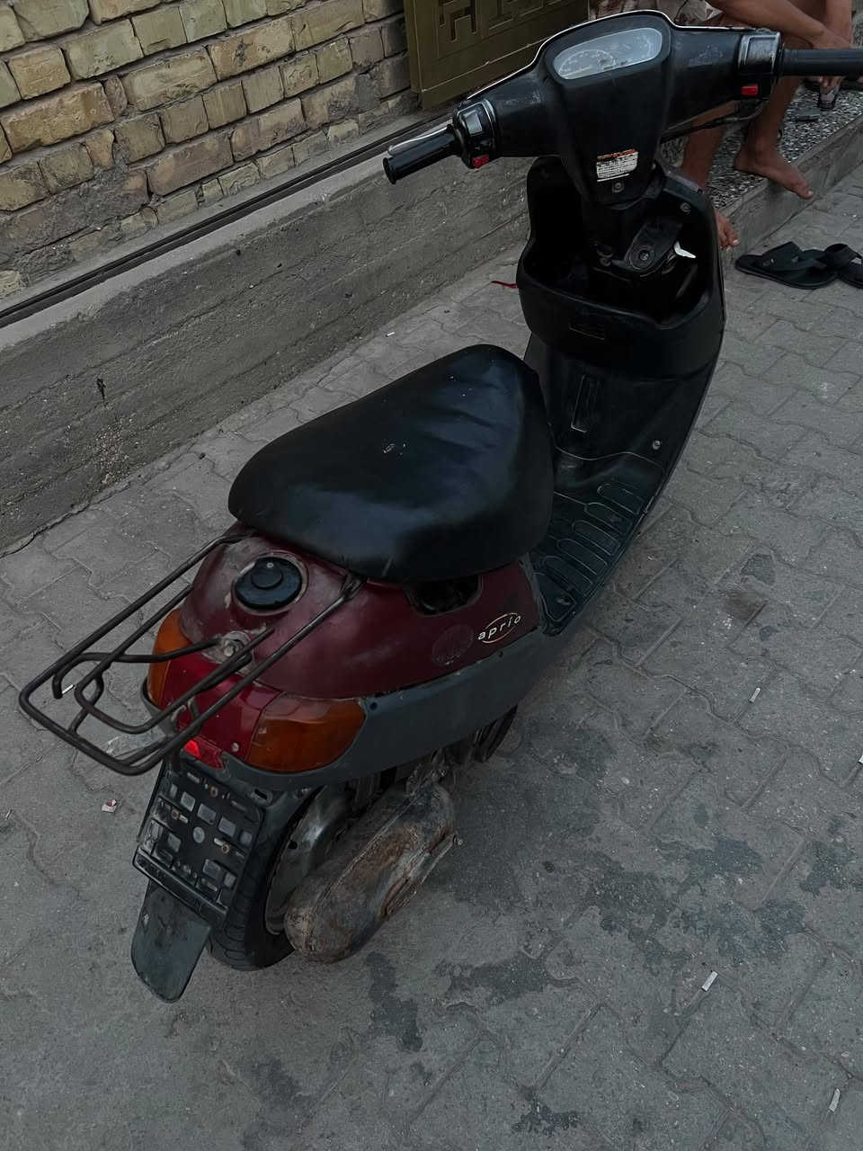 بطة • ماروني • شاصي مكفول