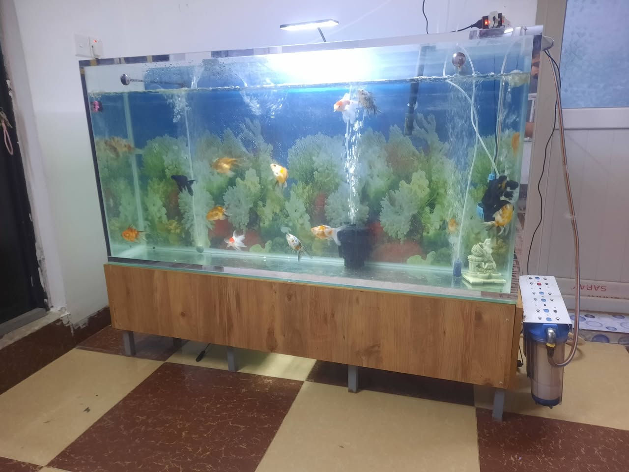 حوض سمج طول متر ونص وارتفاع ٧٨ جام 10 ملم قوي ويا ميز ماله وفلتر خارجي تنضيف يعني هو ينضف ويا 5 سمج هديه للبيع شراي خابر *********** كركوك سعر 125 الف وبي مجال بسيط
