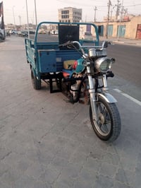 ستوتة كربلائية • موديل ٢٠٢١ • مكفول