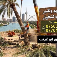 قطع أشجار • نخيل • أبو غريب