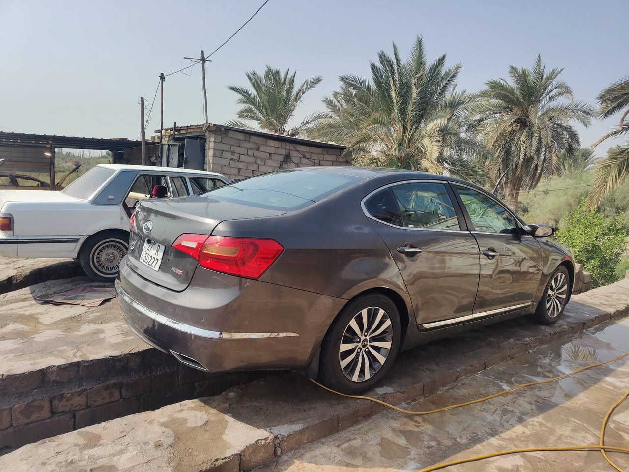 كاتنزه خليجي • مكينه وكير • بيها سونار
