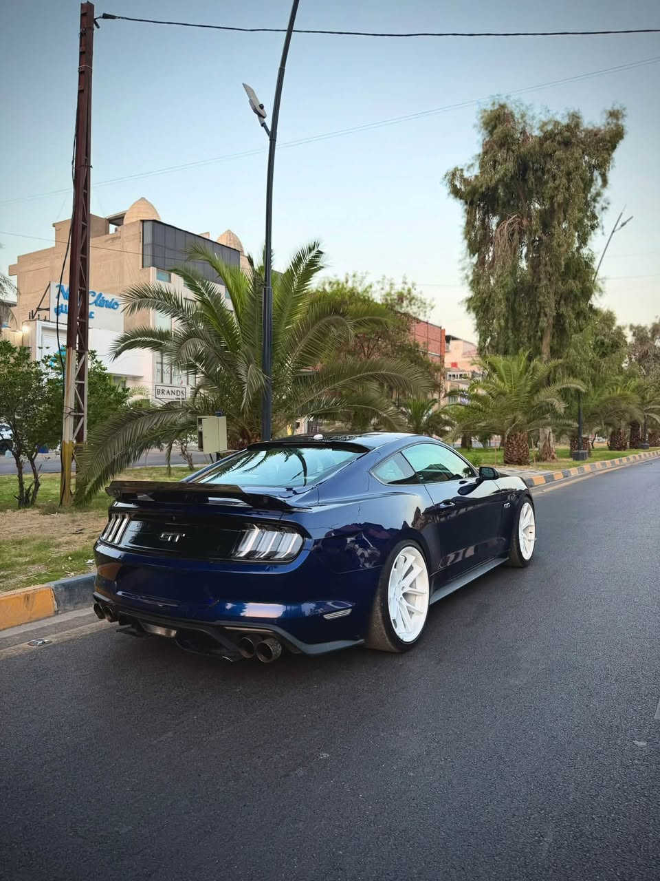 موستانج GT • ٢٠٢٠ • V8