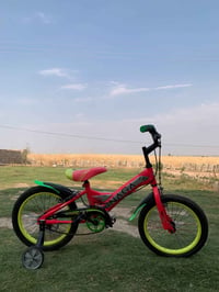 باسكل • مقاس ١٦ • جديد