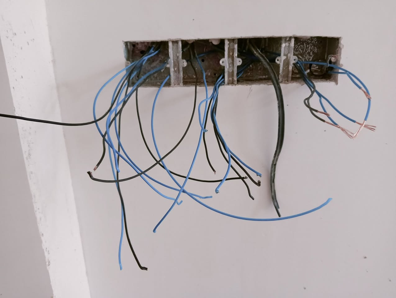 Mustafa Electric ⚡
كهربائي منازل ومحلات تجارية 
- شغل مرتب ونضيف 
🔧 تأسيس وتشطيب كامل(سيمنز__بوري__جبسن بورد)
تأسيس بروفايل داخل الصب +داخل الجبسن بورد 
تأسيس بورد خارجي (حماية انخفاض وارتفاع )
تأسيس منظومة كامرات 
تأسيس منظومة انترنيت 
💡 صيانة أعطال وطوارئ
✅ متابعة مجانية بعد الشغل

واتساب
📞 ***********
