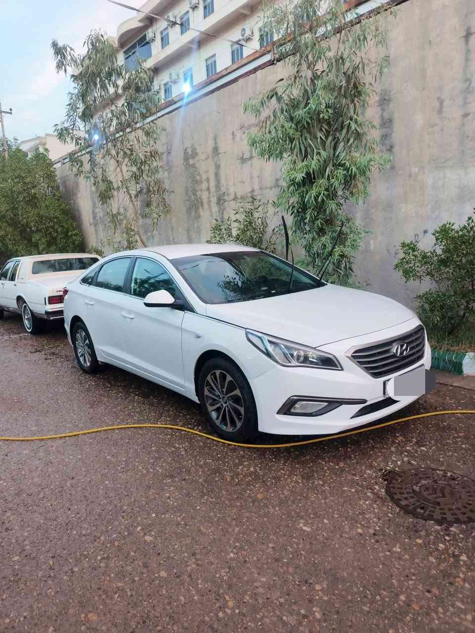 سوناته • ٢٠١٧ • ضايعه