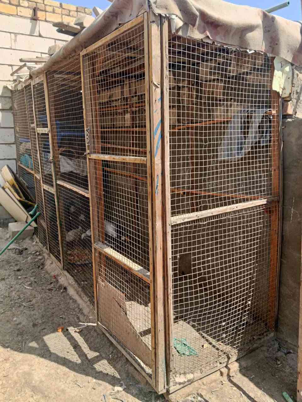 واجيه برج لبيع طول 3امتار 80س م  بابين صفاحيات ثنين  وياه 5ترايش طول مترين وياه 5حلال وقطاره ماء وياه 4سلال  وياه نص متر معلف  مكاني سوق الشيوخ  حي العسكري 
***********
 السعر قيم بل يرضي الله ومانختلف
