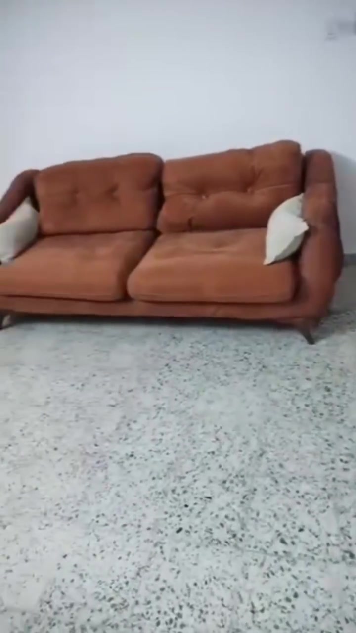 تخم زان للبيع
سعر ٢٥٠ 
بغداد الغزالية ***********
