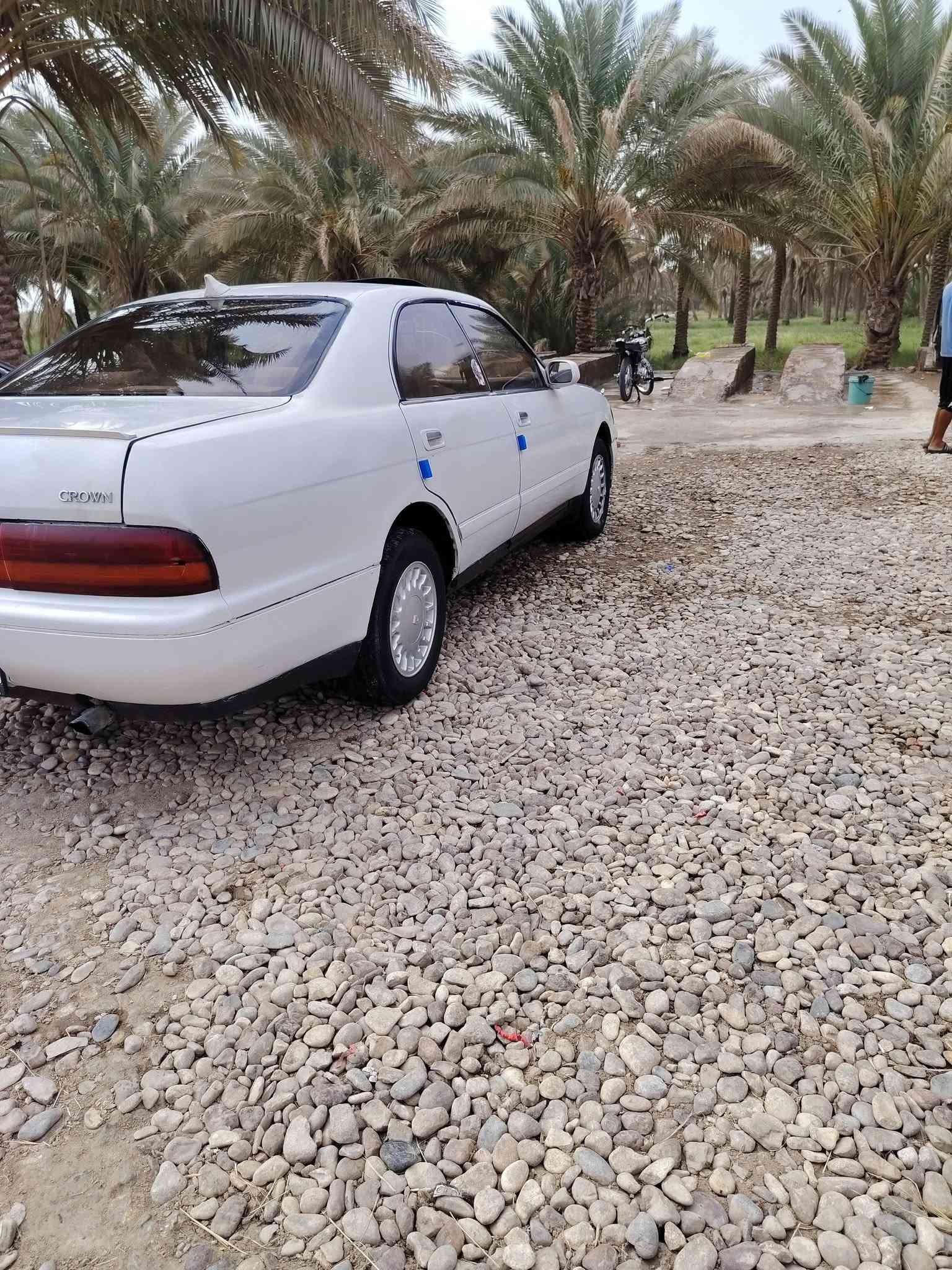 بطه • بابل الشوملي • تبريد مكفوله